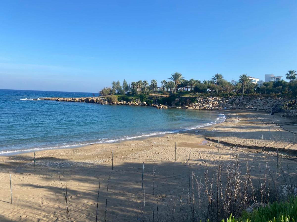 Olive Tree Villa - Protaras Dış mekan fotoğraf