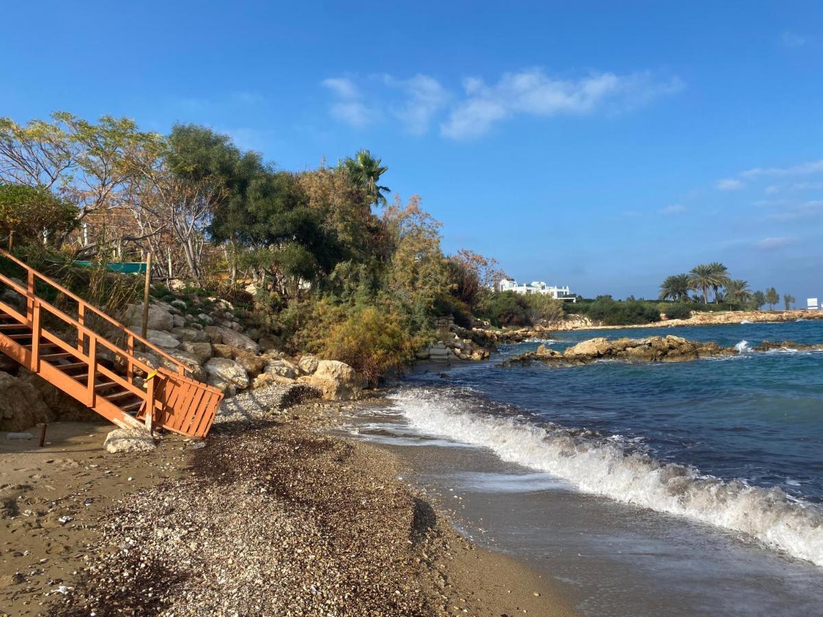 Olive Tree Villa - Protaras Dış mekan fotoğraf