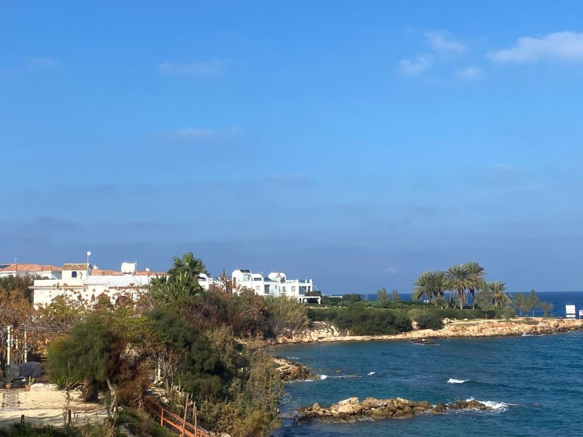 Olive Tree Villa - Protaras Dış mekan fotoğraf